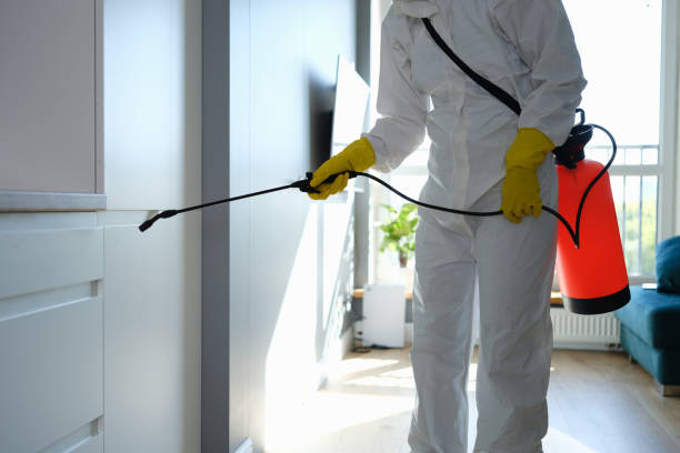 Best Emergency Mold Remediation in Crookston, MN
