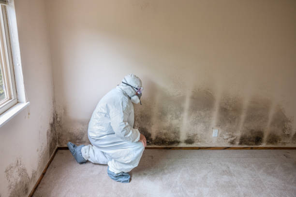 Crookston, MN Mold Remediation Company