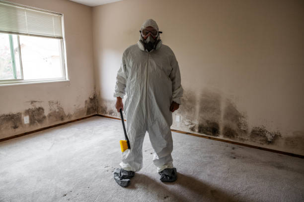 Best Post-Flood Mold Remediation in Crookston, MN